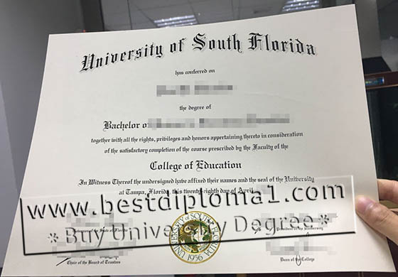 USF degree replica