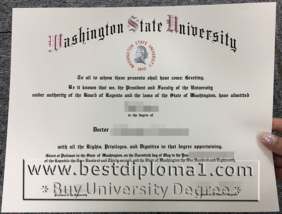 WSU degree replica