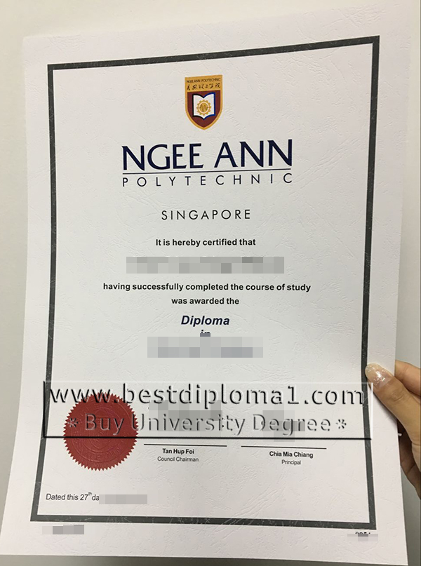 duplicate NP certificate