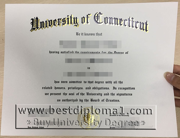 duplicate University of Connertirut degree