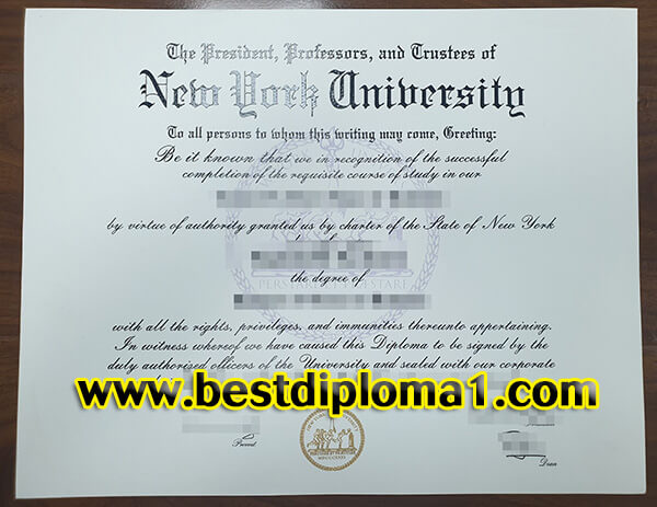  New york university degree