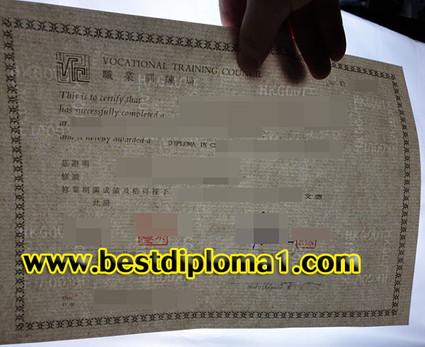Vocational Training Council diploma