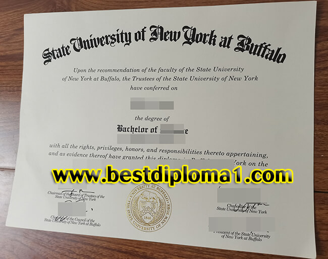 University at Buffalo degree