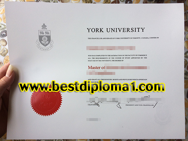  York University Degree