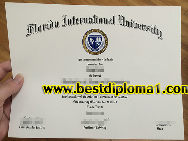 Florida International University Degree