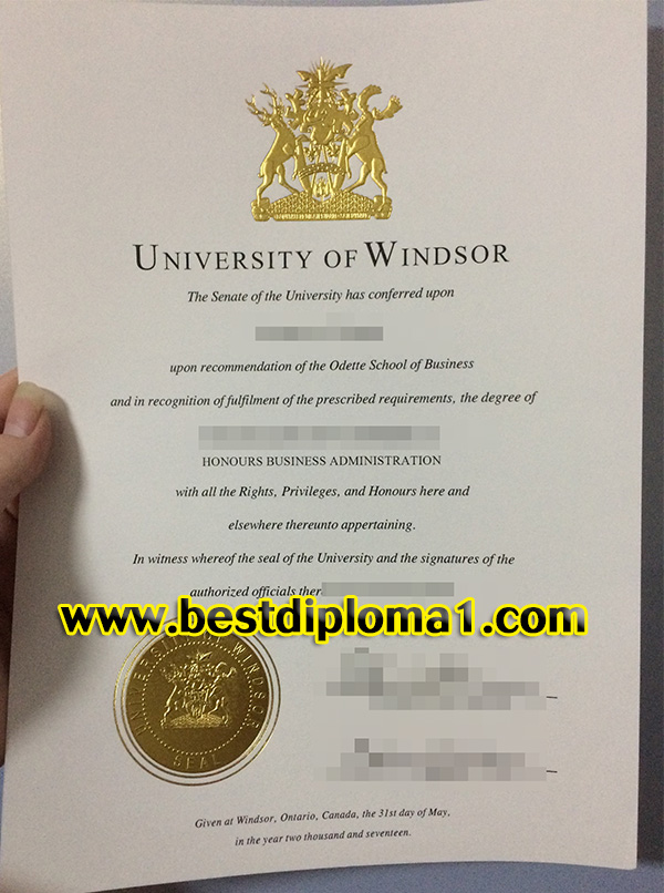  University of Windsor degree 