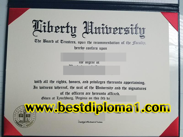 Liberty University degree