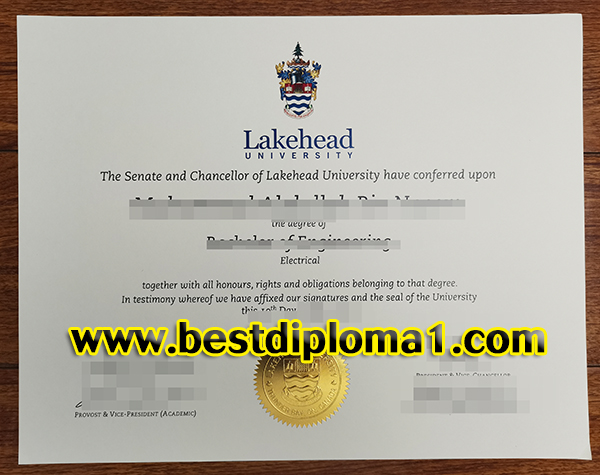 Lakehead University degree