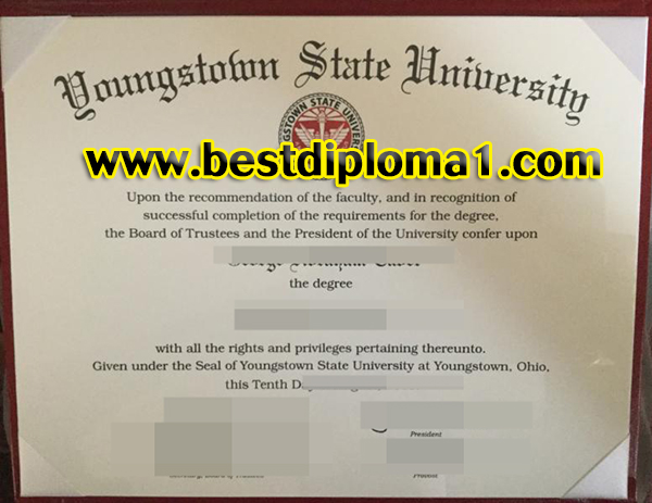 purcahse Youngstown State University degree