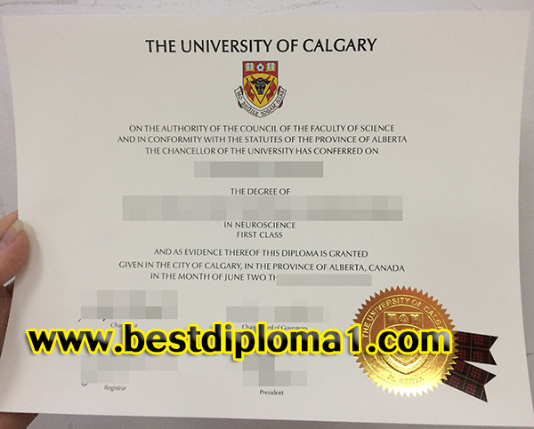duplicate University of Calgary degree