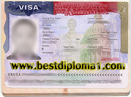 premium us visa
