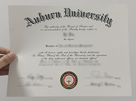 Read more about the article Where can I buy an Auburn University diploma?
