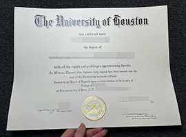 University of Houston diploma-1