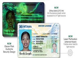 Buy Fake ID-1